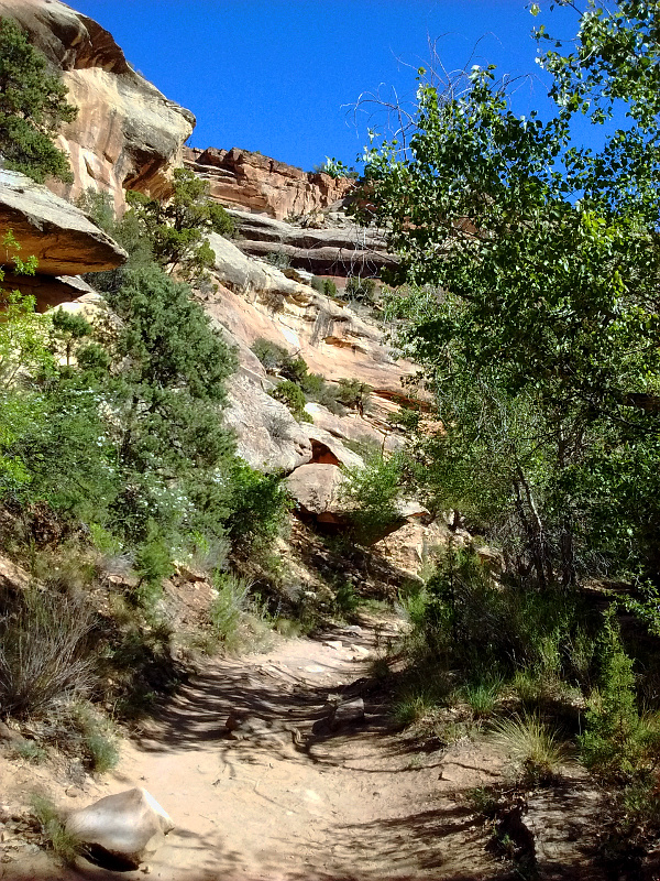 From Fruita To Grand Junction – Exploring Colorado’s Western Slope ...